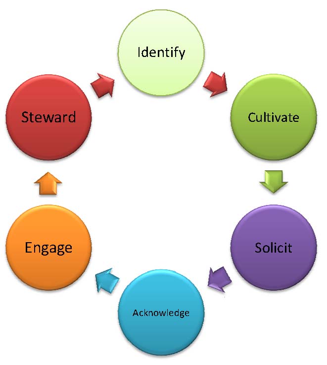 ciclo di vita del donatore